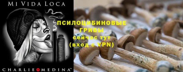 сатива Аркадак