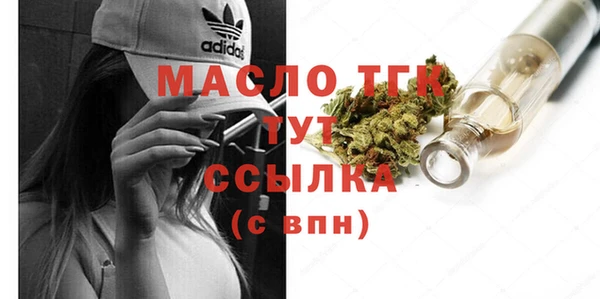 сатива Аркадак