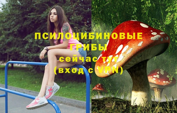 ECSTASY Алексеевка
