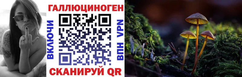 гидра ONION  наркотики  Чайковский  Галлюциногенные грибы мицелий 